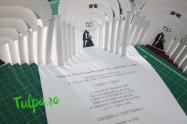 Invitatii de nunta tridimensionale originale