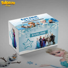 Cutie cu Elsa şi prietenii pentru plicurile de dar