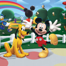 Set botez Clubul lui Mickey Mouse