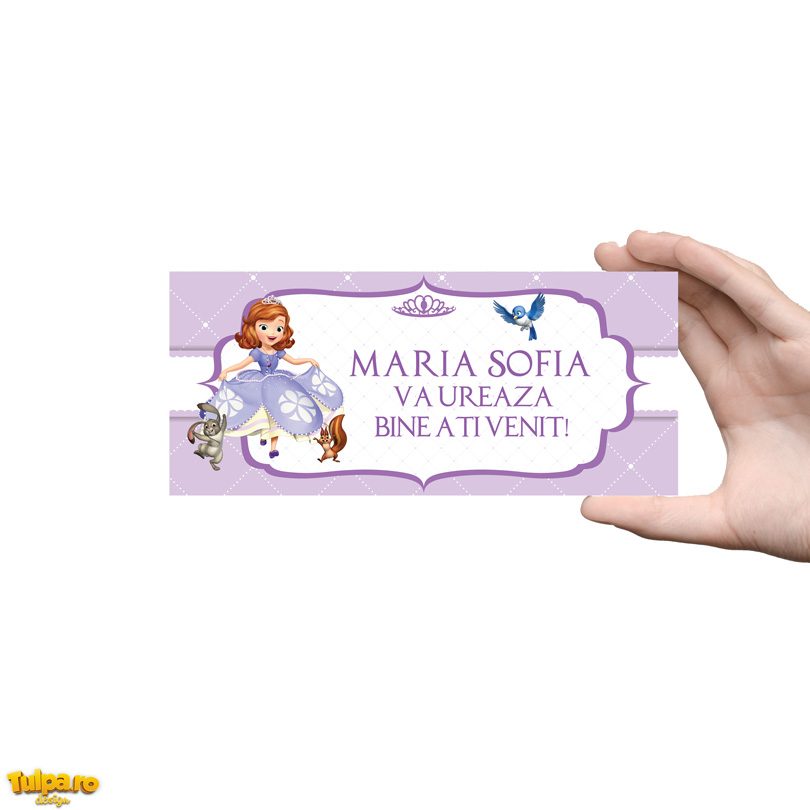 Plicuri de bani cu Prinţesa Sofia, folosite şi ca place card-uri.